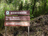 CuevaGuachero1